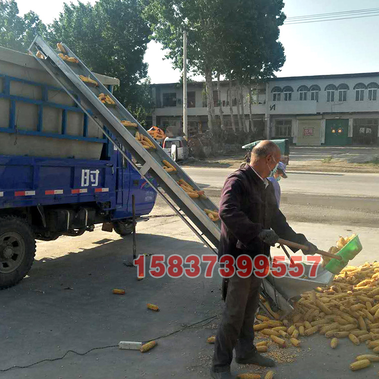 小（xiǎo）型玉米棒輸送機