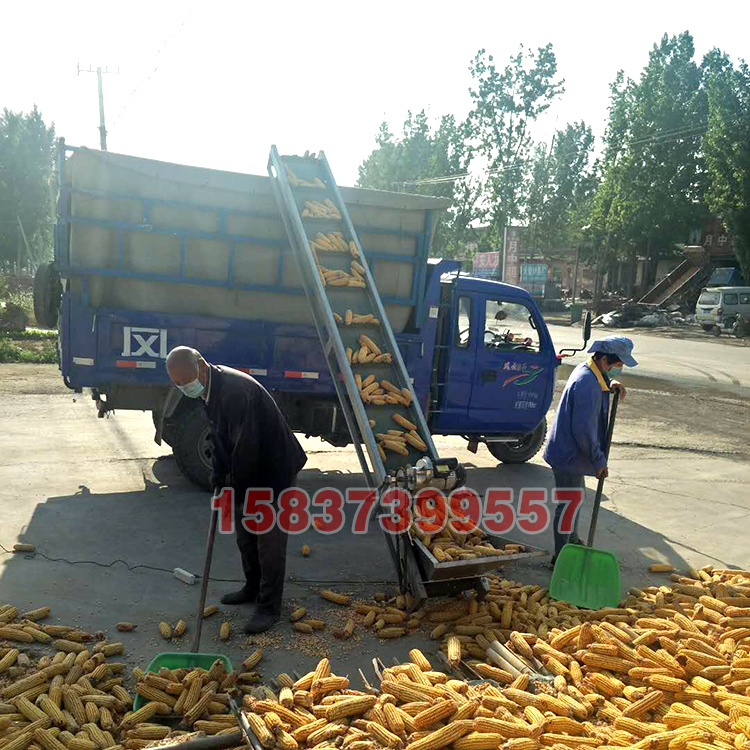 220V小（xiǎo）型玉米棒輸送機